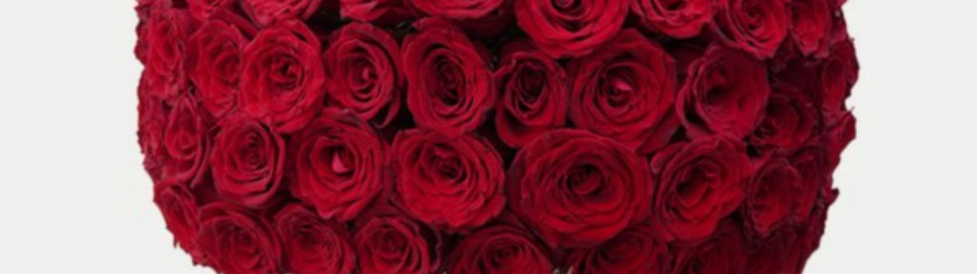 The Benefits of Growing Roses in Your Garden